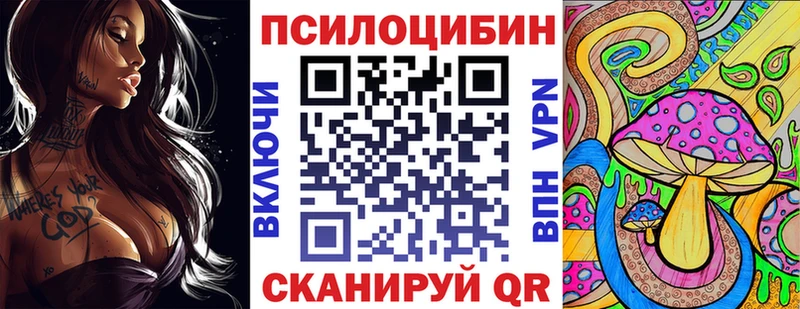 Псилоцибиновые грибы Psilocybe  наркота  Любань 